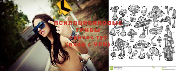 гидропоника Пестово