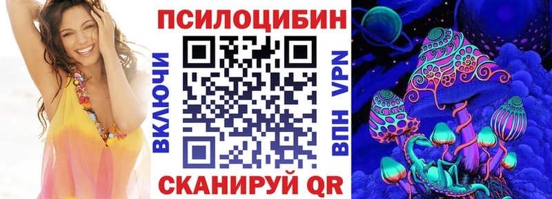 купить наркоту  Заполярный  Галлюциногенные грибы Psilocybe 